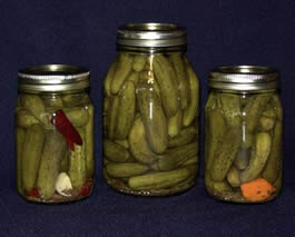 Hill Country Homestyle Canning dill pickles